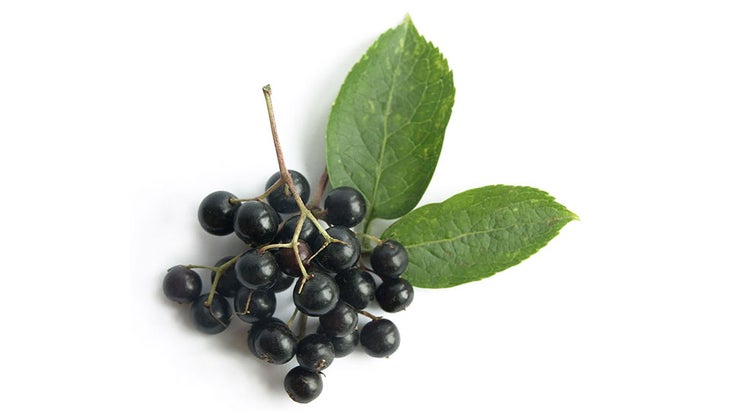 7 natural remedies that are designed to ease coughs caused by viral infections, including colds and the flu.