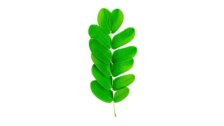 This Tamarind Drink is recommended by the World Health Organization (WHO) in its Cough and Cold Remedies for the Treatment of Acute Respiratory Infection in Young Children. It’s also great for easing coughs and other cold and flu symptoms in adults.